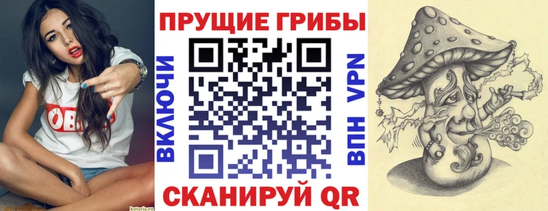 Галлюциногенные грибы GOLDEN TEACHER  сайты даркнета телеграм  Каменск-Уральский 